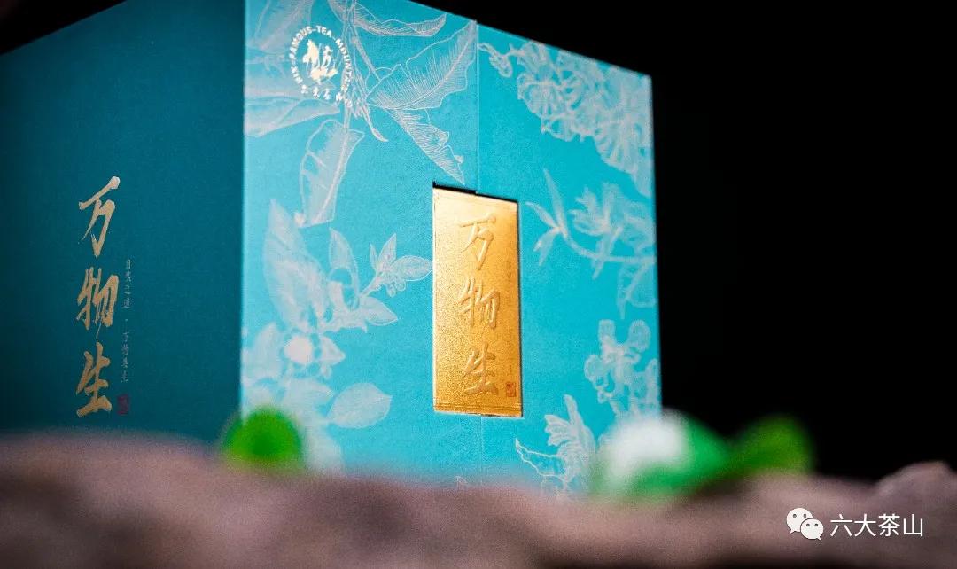 万物共生、无尽藏宝!六大茶山透过它向世人展示云南之美