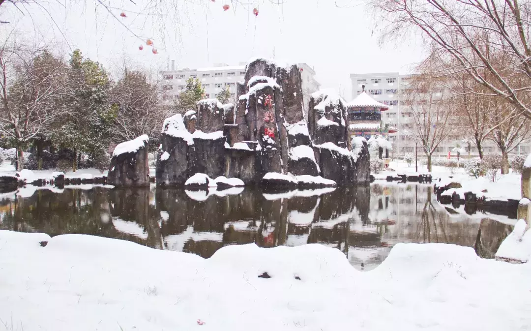 纵使时光流逝 我已不在你的身旁 我的母校市三中