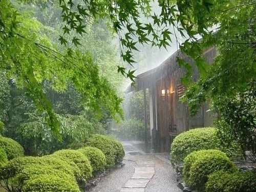 有关雨的唯美句子|雨是一生错过，雨是悲欢离合