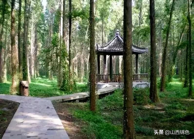 太原森林公園太原森林公園擁有省內首家開放式百鳥園,森林景觀區主