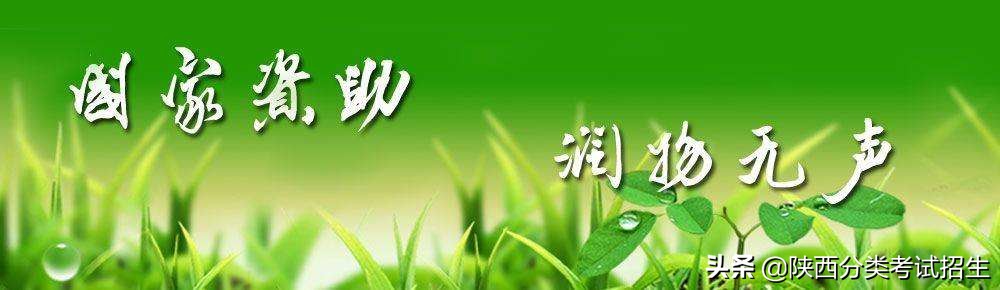 实事求是 朝气蓬勃 ‖ 陕西青年职业学院