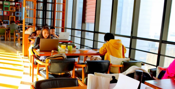 造型新奇，馆藏丰富，5万多平方米，山东这座图书馆“火”了