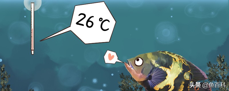 地图鱼适合水温，最好不要超过30℃