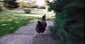 每年1万，最多拿6年！即日起可申领！杭州大学生租房补贴