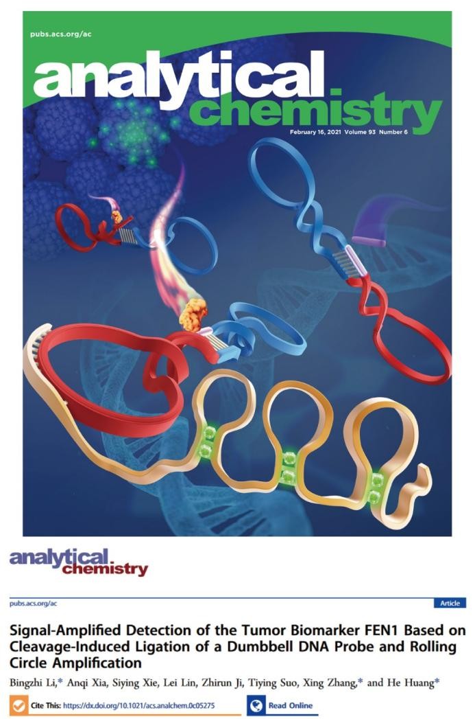近3个月，南师大12项科研成果引起国际关注，涉及肿瘤、乳腺癌等研究治疗！