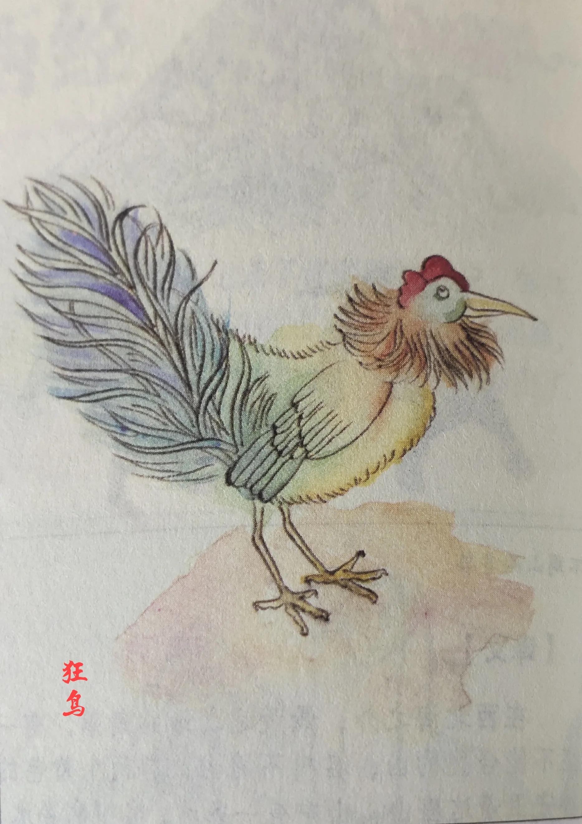 那些山海经里神奇而又漂亮的飞禽