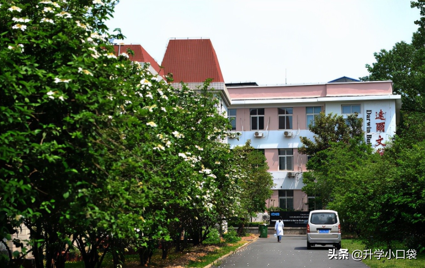 中国海洋大学2022届保送研究生数据出炉，这个专业保研率有48.1%