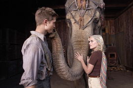 《大象的眼泪》：马戏团兽医爱上老板娘，为获幸福，指使大象杀人