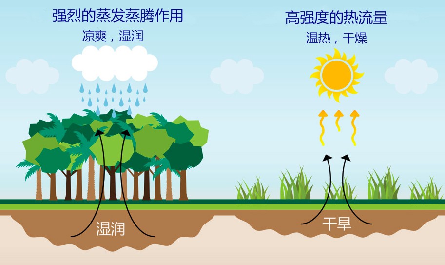 中国沙漠变绿洲，巴西猛砍雨林！全球异常暴热，巴西是罪魁祸首？