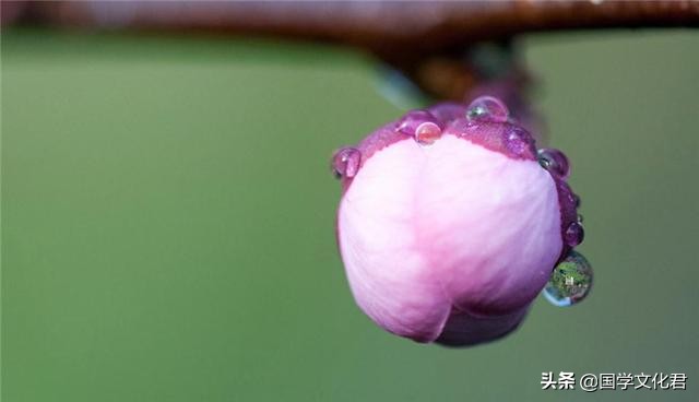 心烦的时候，多读读《道德经》中的这3句话，一切都会好起来