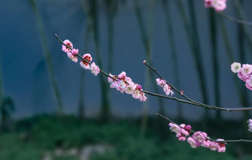 余生很贵，莫要浪费（值得一读）