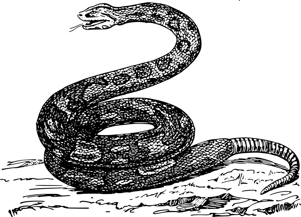雄黃是什么,雄黃是什么東西