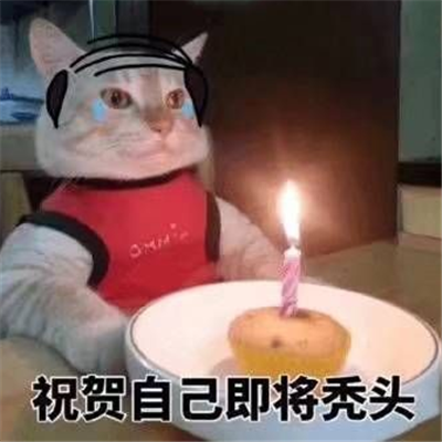 抖音最火生日快樂表情包 生日祝福表情包可愛搞笑