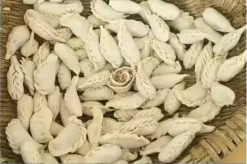 四川民族学院落户泸定！而我们却把青春留给了姑咱的风和大渡河！