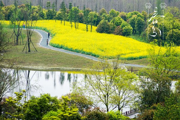 这里，是电子科技大学！