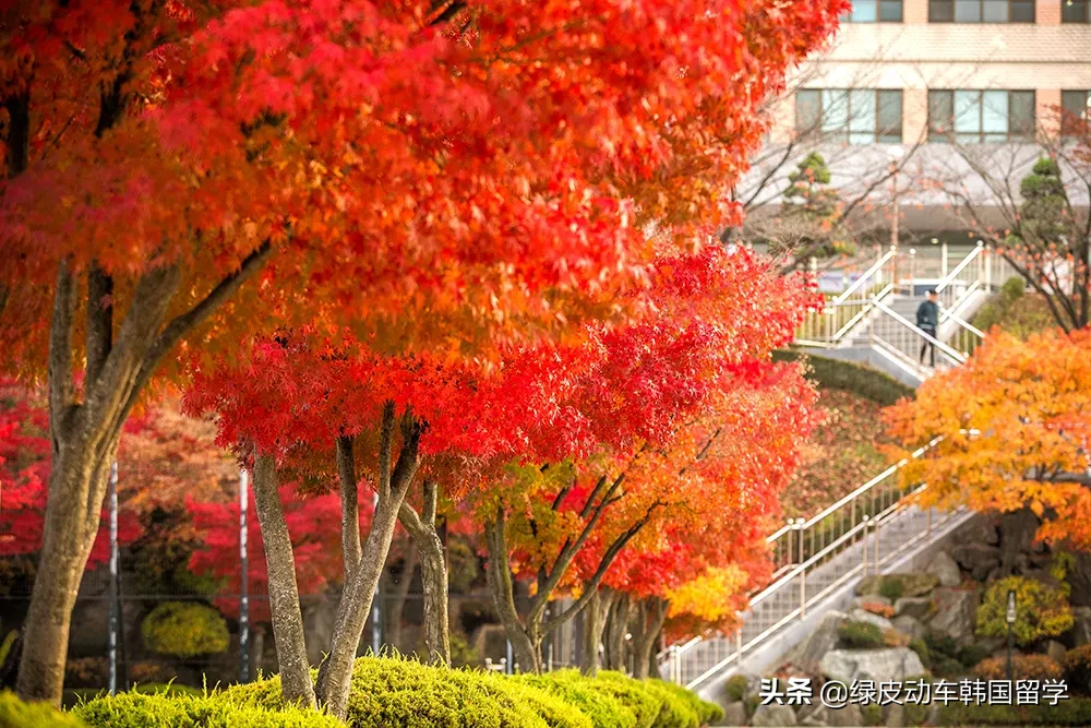 韩国留学 | 盘点在韩剧中出现的大学