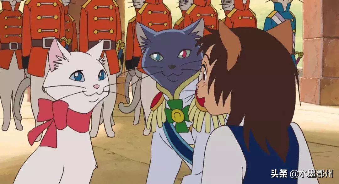 刷完100部“猫片”,发现你们对喵星人的偏见竟如此之大