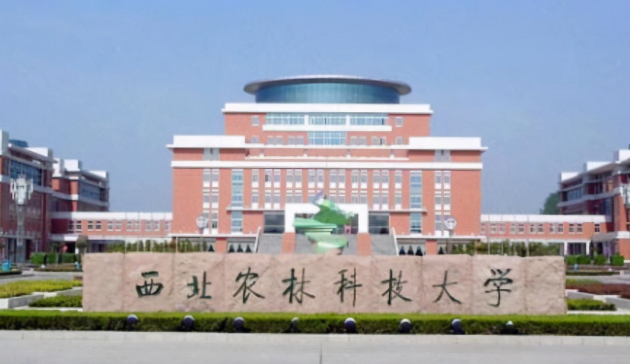 2021高考生迎来“好消息”，普通学生也能沾光，家长表示很欣慰