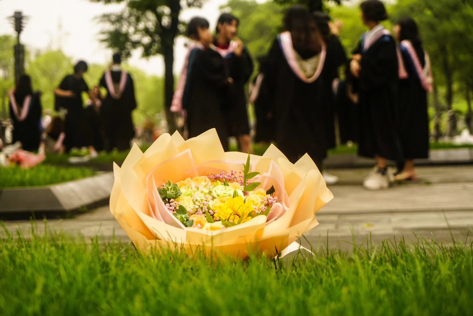 北有中传、南有浙传，浙传是一所什么样的大学，有哪些艺术专业？