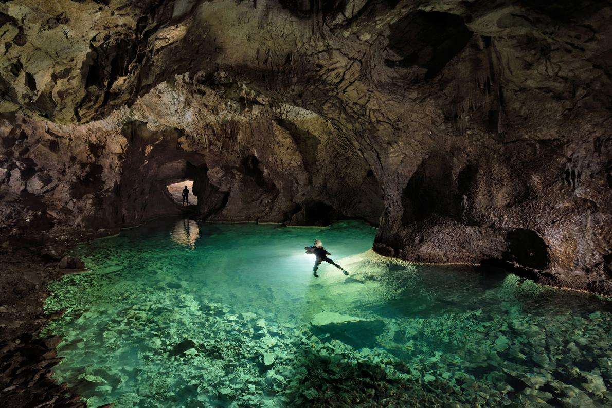 500万年前的神秘洞穴，这群皮肤透明的生物，难道是史前物种？
