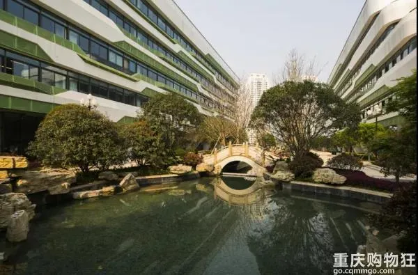 重庆13所国际学校大盘点：学费、课程设置、学校情况等全在这了