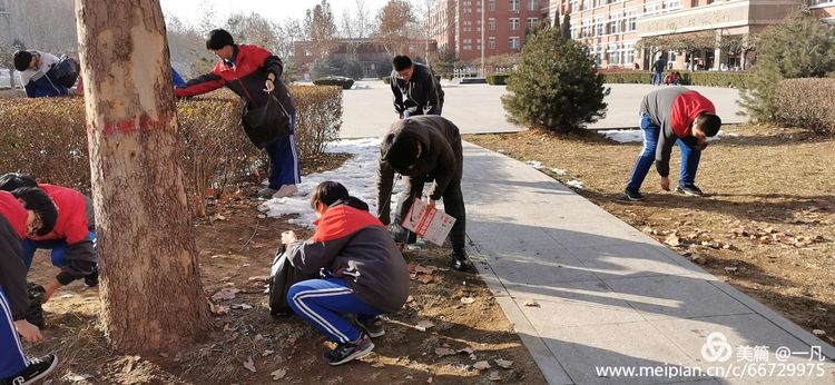 年年蟾宫折桂，岁岁铸就辉煌——热烈庆祝高邑一中2020年高考再创新高