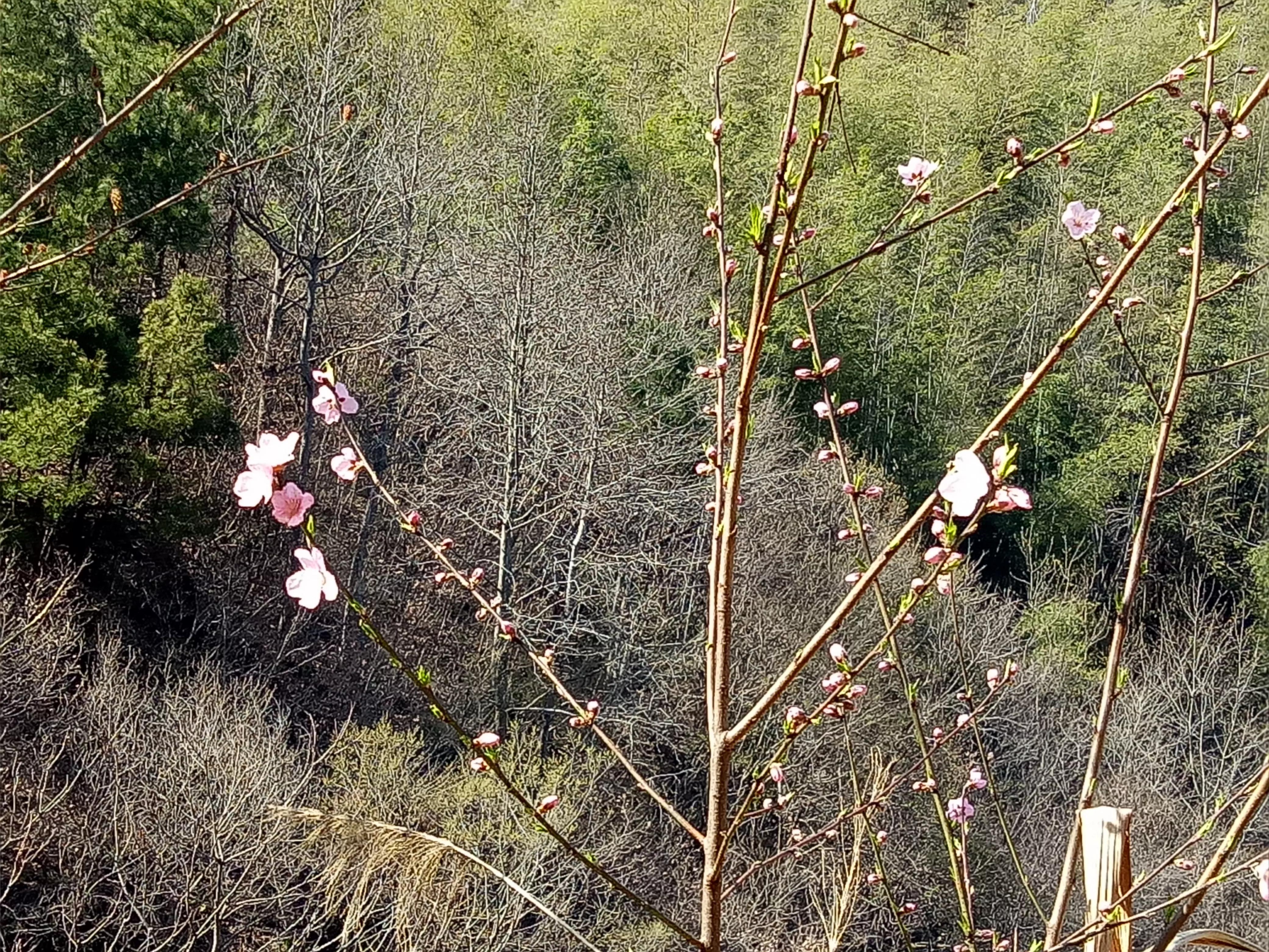 藏在深山远名扬，梦中桃源车厢沟