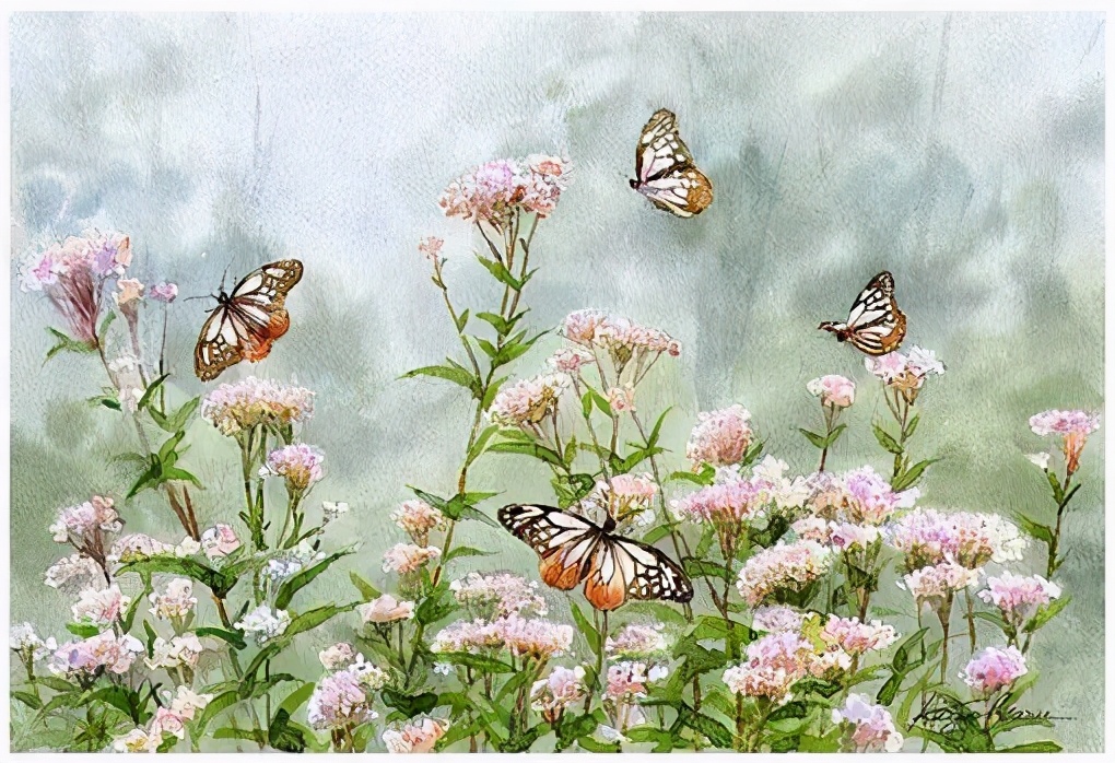 读曾子《大学》后感