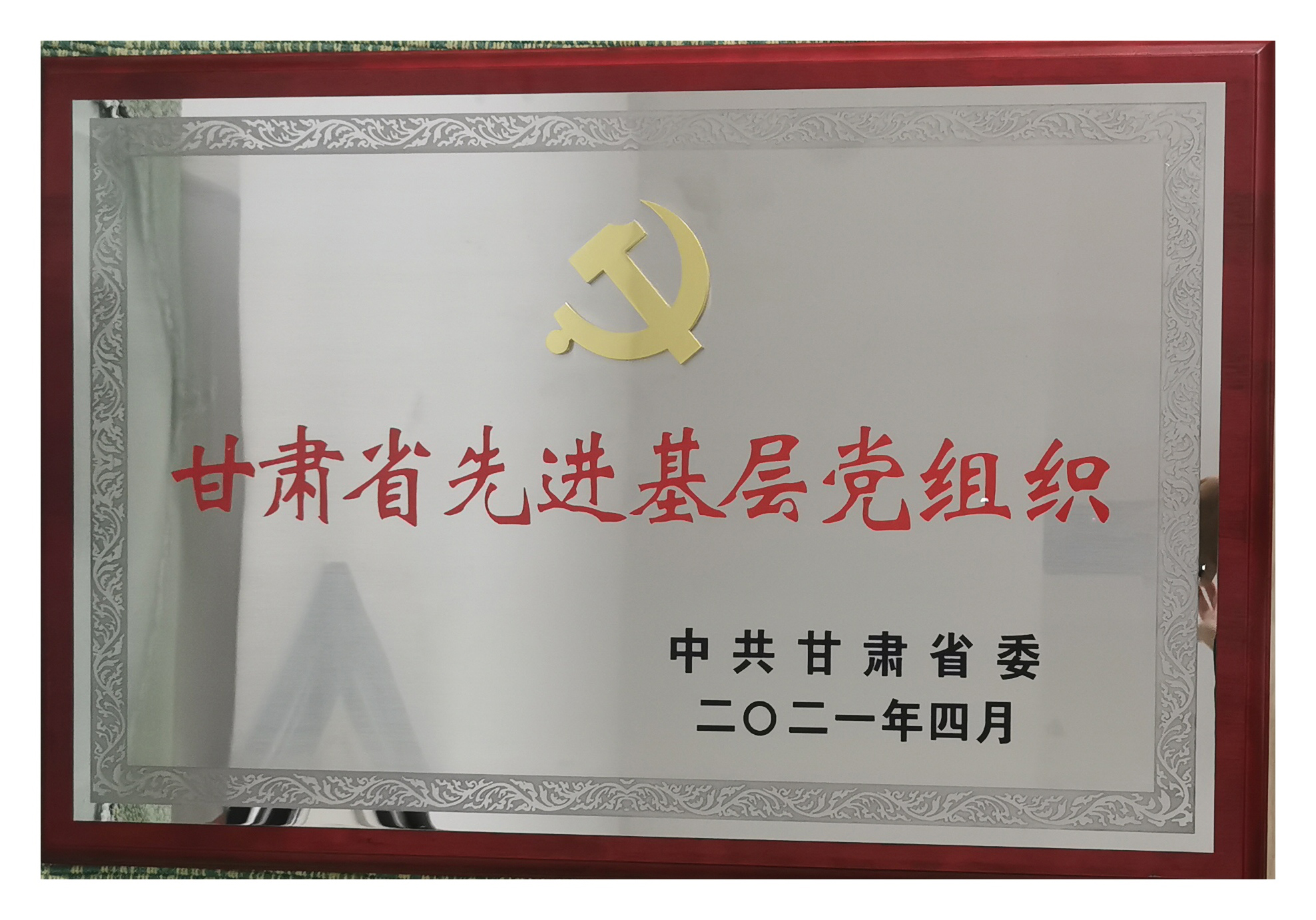 蘭州市第二人民醫(yī)院榮獲“蘭州市委直屬機(jī)關(guān)先進(jìn)基層黨組織”和“甘肅省先進(jìn)基層黨組織”雙重榮譽(yù)稱號