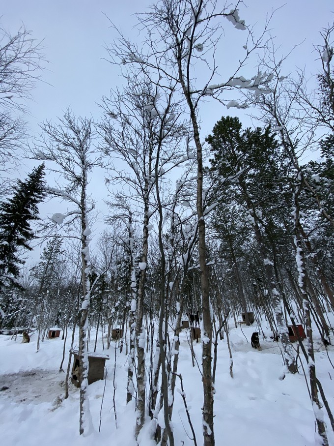 俄罗斯旅行攻略——踏入北极圈