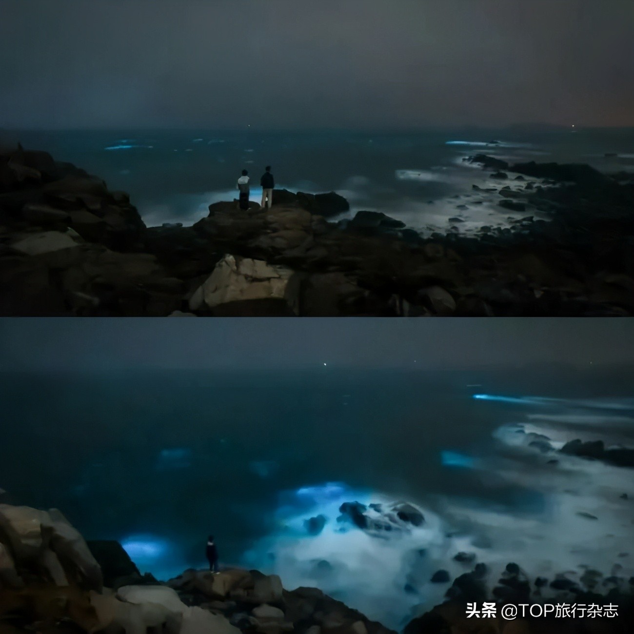 “蓝眼泪”迎来最好观赏季，长沙过去6小时，去奔赴一场蓝色梦幻海