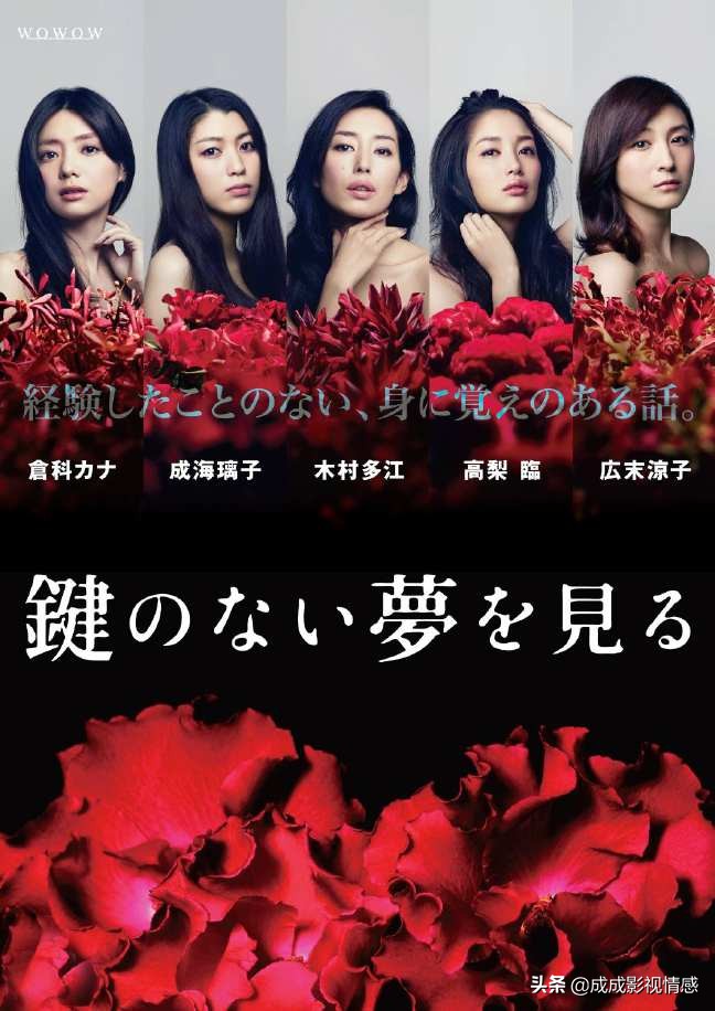 22部！日剧中的沧海遗珠，罪案悬疑精品，良心推荐！（一）