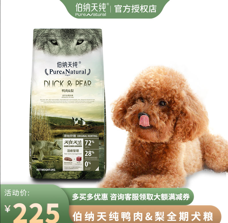 十大最受欢迎宠物狗
