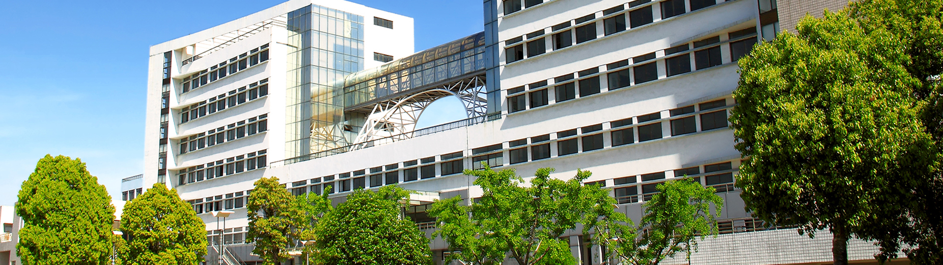 安徽财经大学2020年招生计划，2019年各专业录取分数