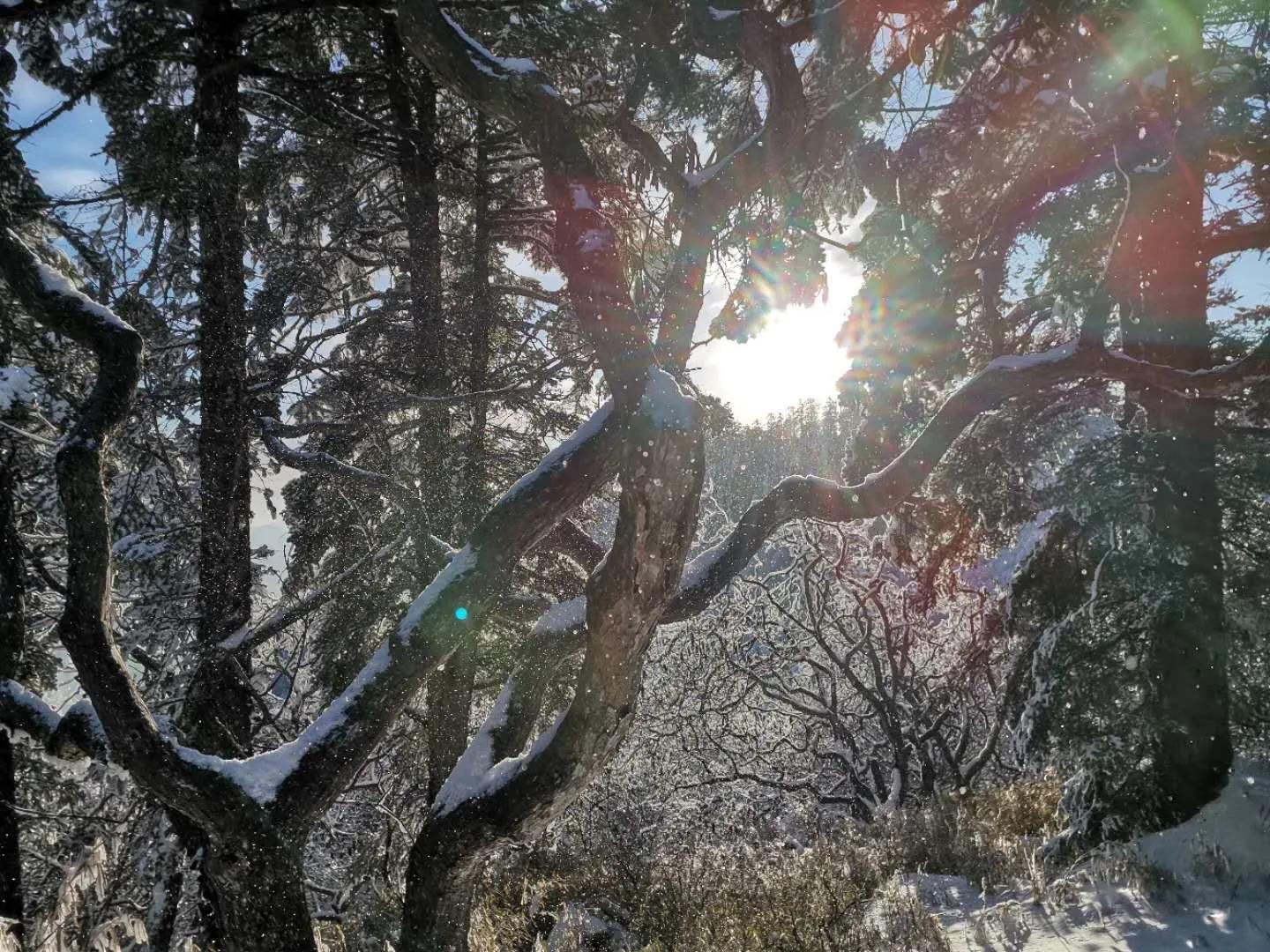 走近杜甫笔下的西岭雪山