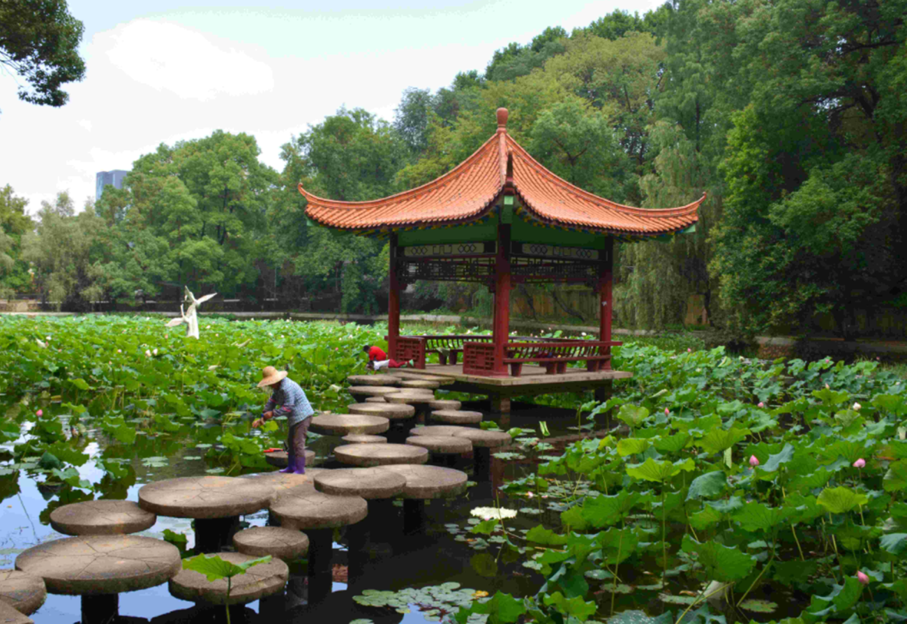 同为理工类985，华中科技大学VS华南理工大学，谁能更胜一筹？