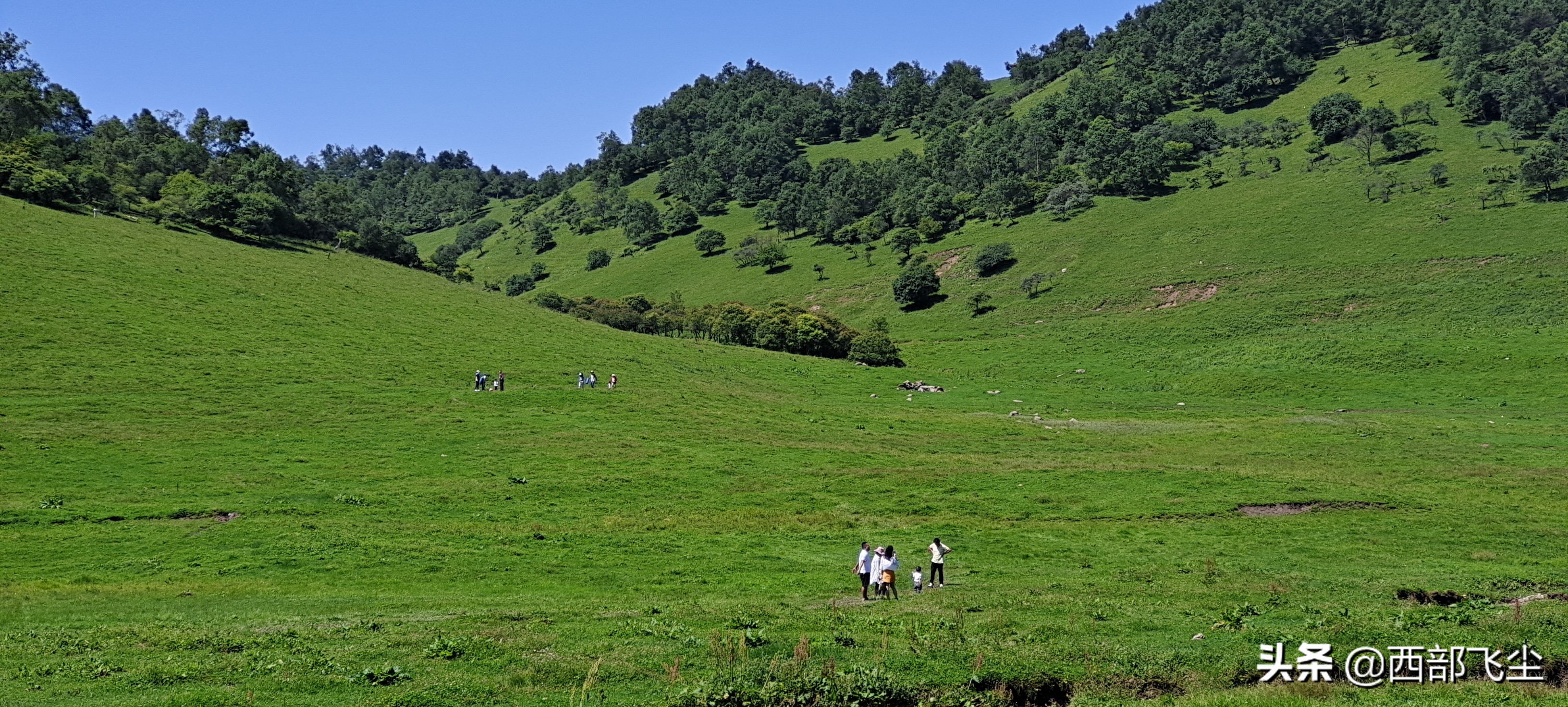 西安出發,不出省大草原清涼怡夏,暑假關山草原週末2日遊