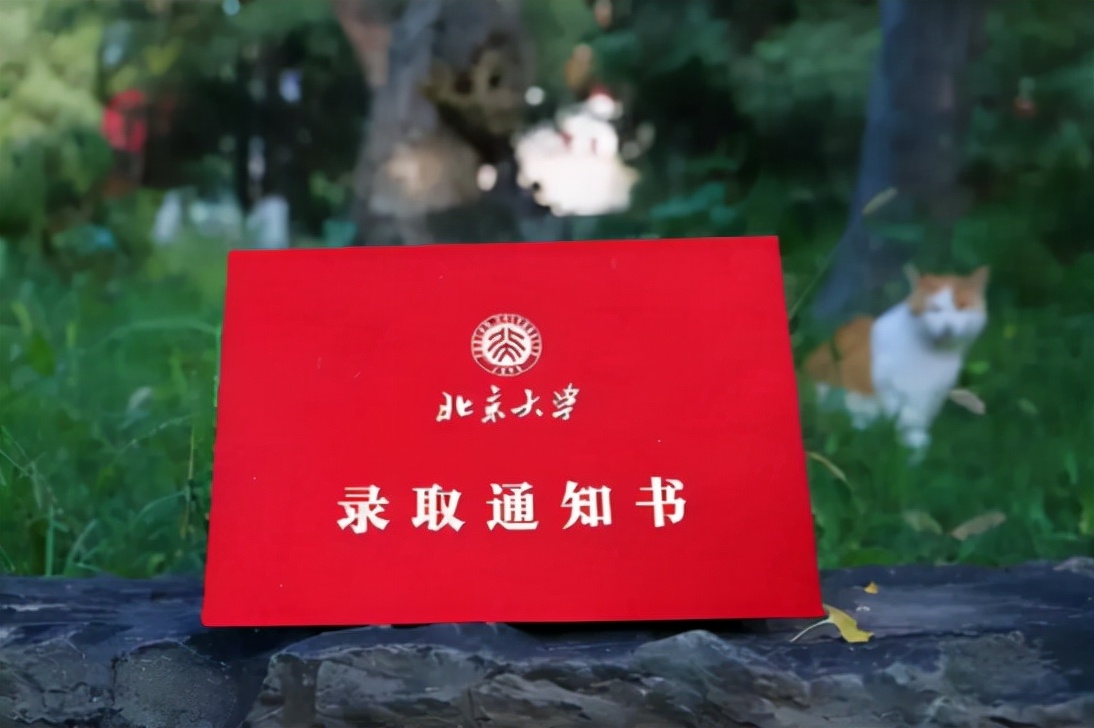 新疆女孩656考上北大，加分政策没问题，但却因母校问题引发热议