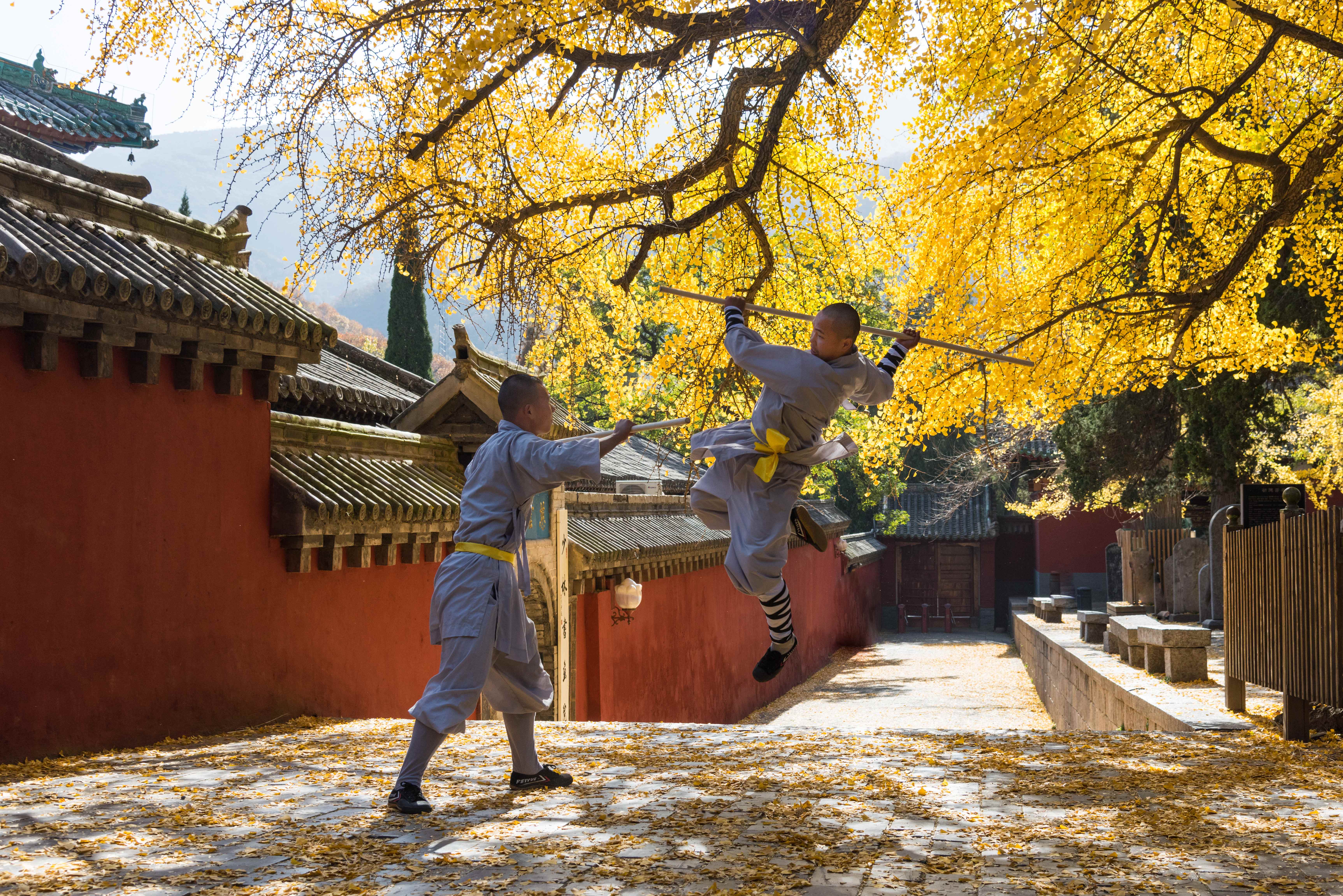 元好问在嵩山时的诗文交游