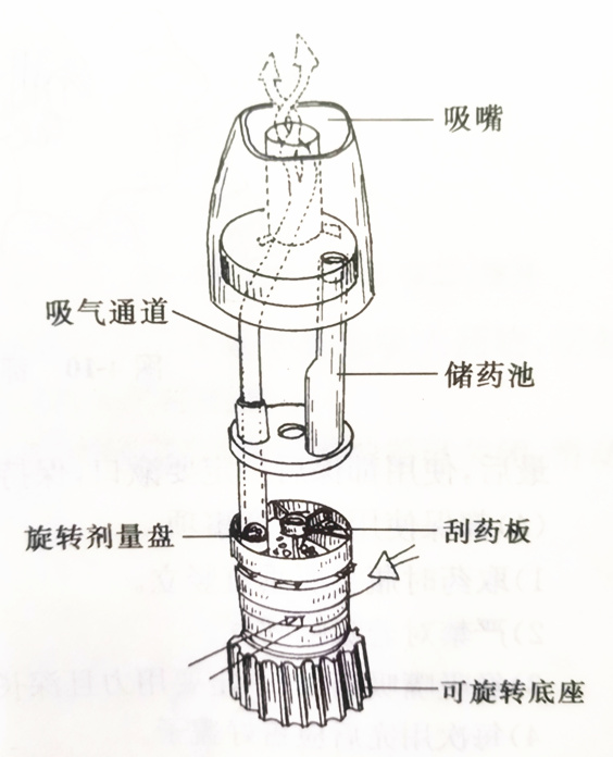 哮喘/慢阻肺患者，普米克都保的使用方法来了~