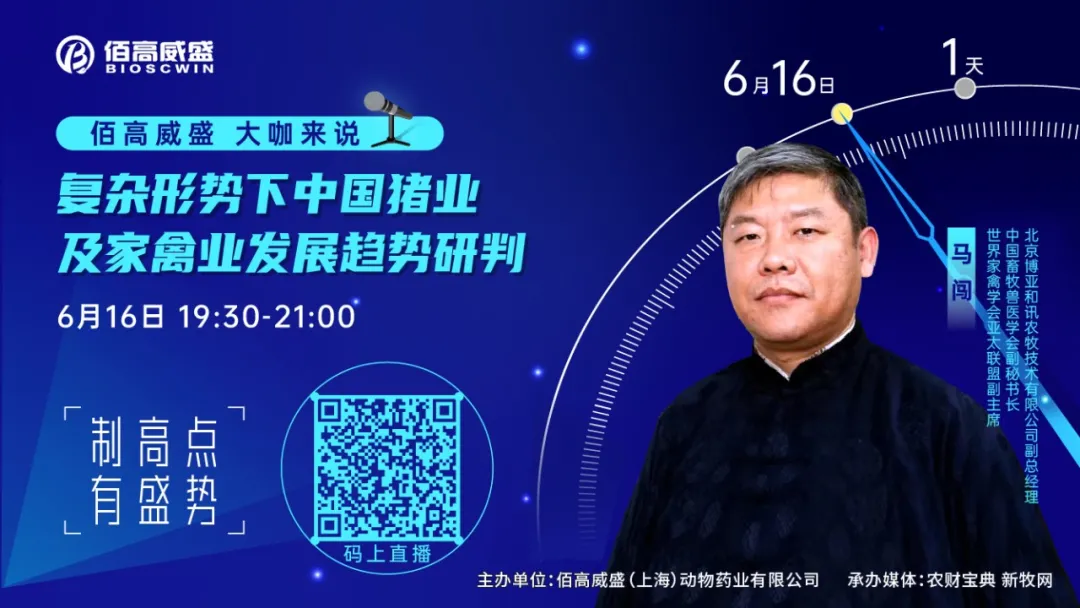 2022年猪价或跌破6元/斤，家禽业将迎来红利期，关注四大要素掌握生产秘笈