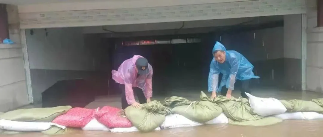 农大人的身影在前，我们“豫”难而上