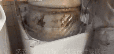 洗衣机几个月不洗，比马桶还脏？教你正确做法，每天干干净净