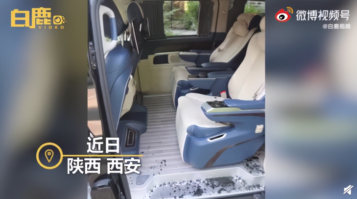 衡水中学校长儿子到西藏当“高考移民”，被取消报考资格【三分钟法治新闻全知道】