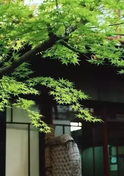 香港评选出来最受欢迎的十首唐诗,第一名情理之中意料之外