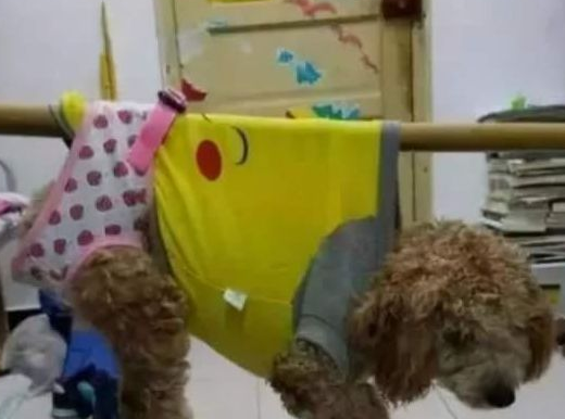 大学宿舍“违禁品”合集，女生寝室品类齐全，男生寝室在意料之内