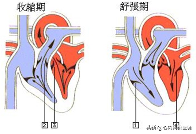 低压高是什么原因引起的血压问题