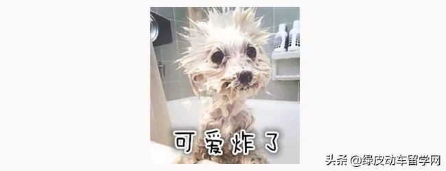 不知名却很厉害的日本大学