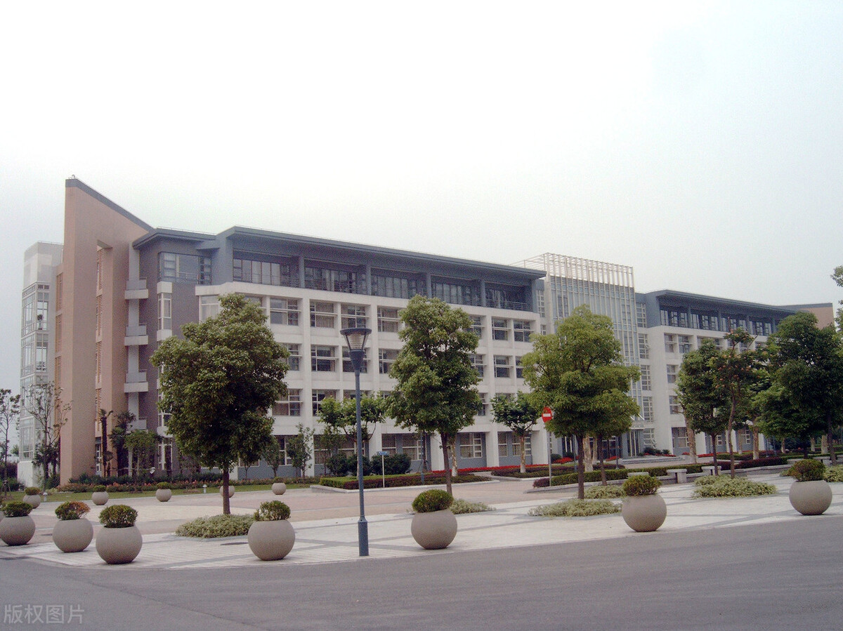 东华大学VS华东师范大学美术专业哪家强，录取成绩分析谁更好考？