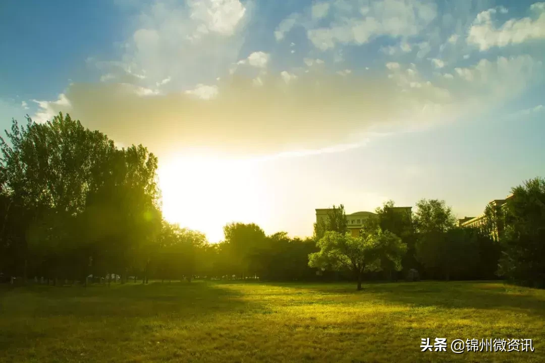 渤海大学关于报到的那些事儿！流程都在这里